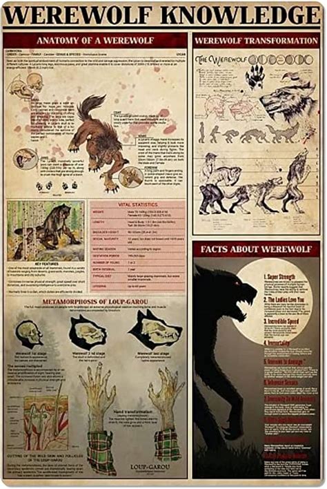 Werewolf Knowledge Metal Tin Signs Werewolf Reference