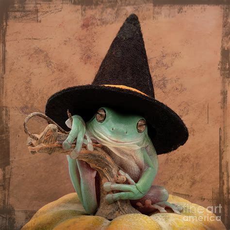 Halloween Frog Photograph By Linda D Lester Pixels