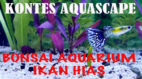 Sebilangan besar bakteria yang tinggal di lajur air dan di dalam tanah memproses produk pembusukan dan aktiviti penting tanaman, sisa makanan, dan kotoran ikan. Aquascape Bonsai Air Dalam Aquarium Ikan Hias - YouTube