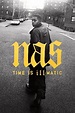 Watch Nas: Time Is Illmatic Online | 2014 Movie | Yidio