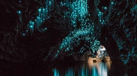 Waitomo Glowworm Caves In New Zealand Life In Wanderlust