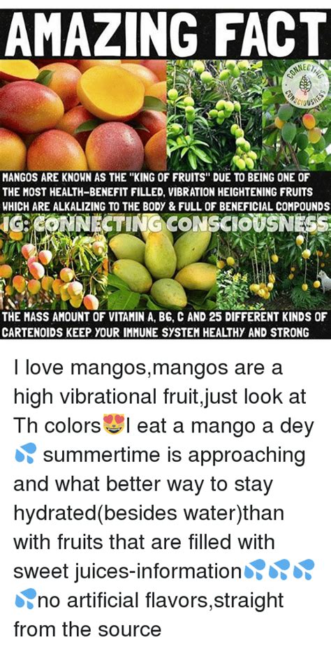 Amazing Fact Mangos Are Known As The King Of Fruits Due To Being One Of The Most Health Benefit