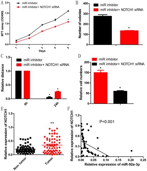 MicroRNA92a3p Inhibits The Cell Proliferation Migration And Invasion