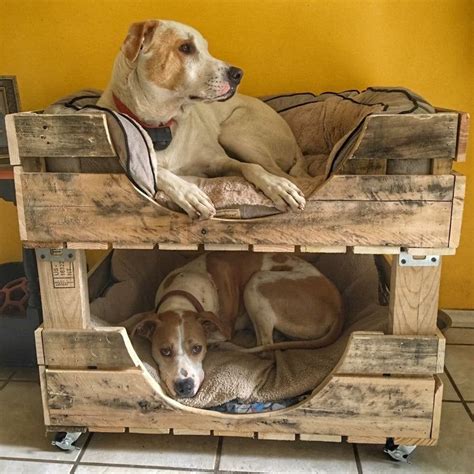 To Make Dog Bunk Beds Standard Dog Bunk Bed Kuranda Dog Beds® You