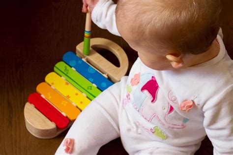 L'alimentazione del bambino sarà quasi completa, potrà mangiare una vasta gamma di alimenti tra cui gli ultimi da introdurre come: Le 12 Migliori Idee Regalo Per Un Bambino Di 1 Anno