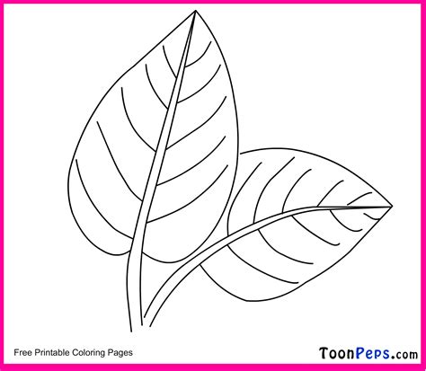Leaf Coloring Pages For Kids - Coloring Home