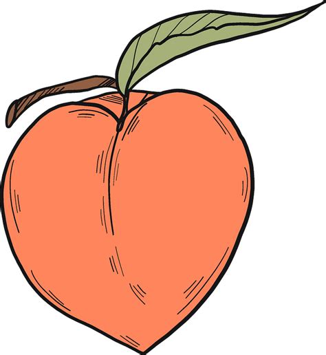 Peach Clipart Png