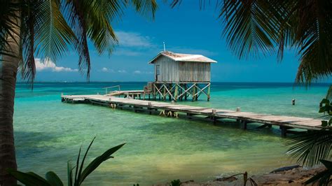 Nature Landscape Beach Tropical Sea Palm Trees Dock