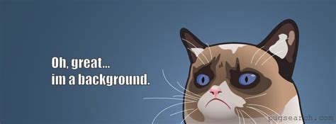 Funny Cat Cartoon Memes That Fit Facebook Cover In 2020 Background