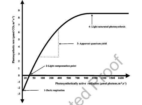 Photosynthetic Light Response Curve The Response Of Photosynthetic