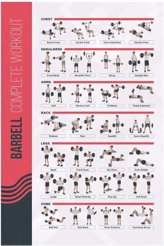 Fitmate Barbell Workout Exercise Poster Workout Routine 1 Fred Meyer