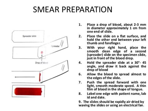 Peripheral Blood Smear Examination