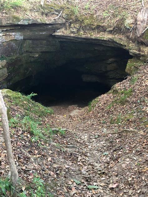 Cave Spring Natchez Trace