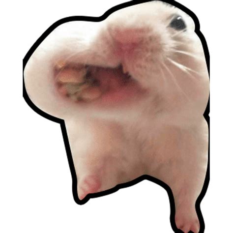 Hamster Meme Png Transparent Hamster 03 Hamster Cartoon Png