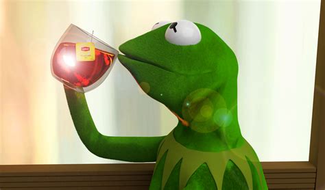 Kermit Meme Drinking Tea
