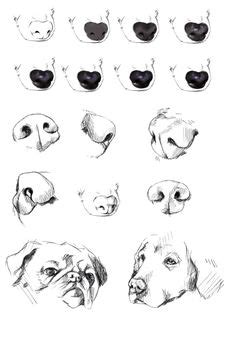 The mouth of the dog consists of two simple curves that start slightly below the lower tip of the nose. How to draw dog eye detailed tutorial. | Animal Portrait ...