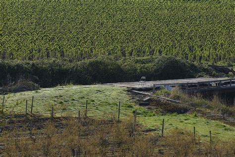 The Chair In The Vineyard Photograph By Paul W Sharpe Aka Wizard Of