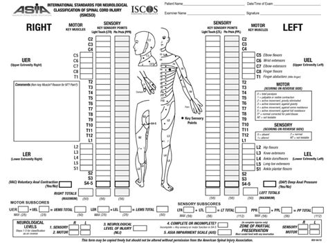 Dermatome Asia Chart Dermatomes Chart And Map