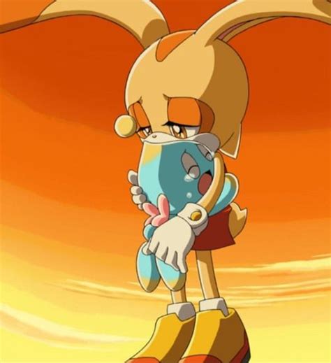 She is a friend of the chao,5 especially to her dear chao friend cheese, who she takes with her everywhere. cream the rabbit crying - Google Search | Rabbit wallpaper ...