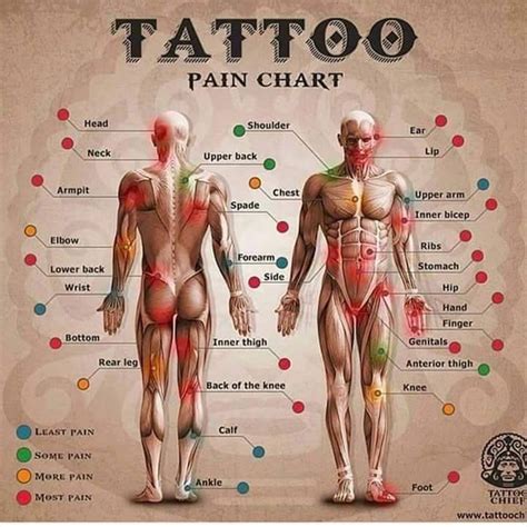 Las Zonas Más Y Menos Dolorosas Para Hacerse Un Tatuaje En El Blog De Ink Sweet