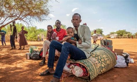 Thousands Of Somali Refugees Relocated To New Settlement In Ethiopia