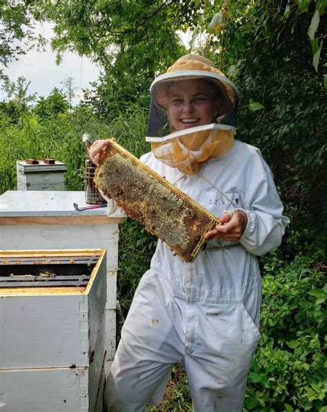 Beekeeping Club Shares The Sweet Side Of Bees