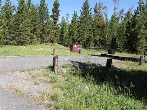 Site Indian Creek Site 8 Indian Creek Campground Yellowstone