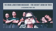 The Brian Jonestown Massacre – Fire Doesn’t Grow On Trees: Recensione ...