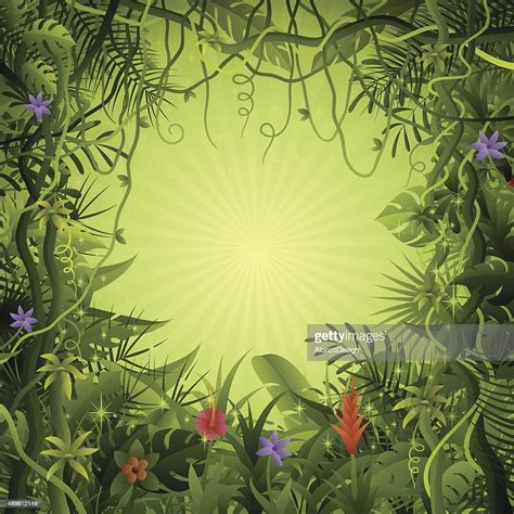 Rainforest Background High Res Vector Graphic Getty Images