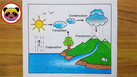 How To Draw Water Cycle Water Cycle Drawing For School Project