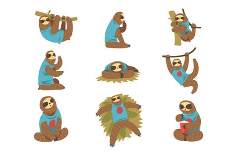 Funny Sloths Set Lazy Exotic Rainforest Animal Character In Different