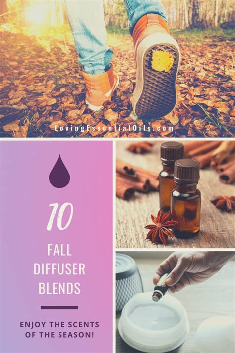 10 Fall Diffuser Blends Wonderful Scents Of The Season
