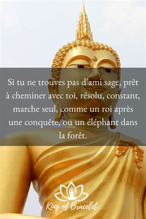 Citation Pensée Inspirante De Bouddha Pour Bonheur Et Amour Citation