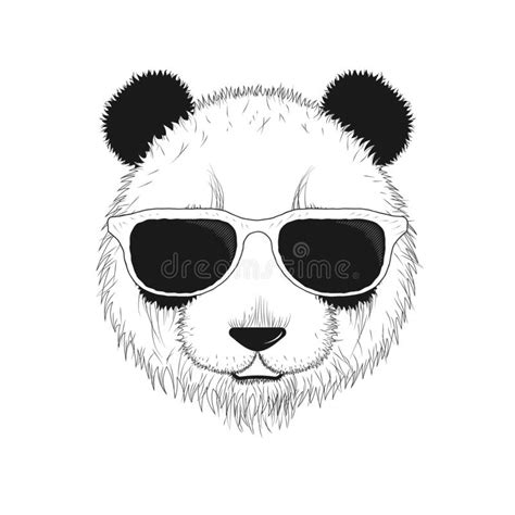Porträt Des Pandas Von Hand Gezeichnete Illustration Vektor Vektor