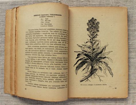 Old Botany Book With Illustrations Medicinal Plants Of Etsy Buy