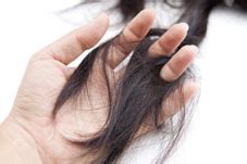 And, thyroid hormones help to control the growth of hair follicles. white iodine