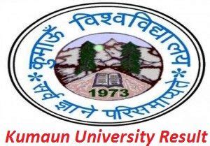 Kumaun University Result 2020, Check BA, BCom, BSc, BBA Exam Result | University result, Exam ...