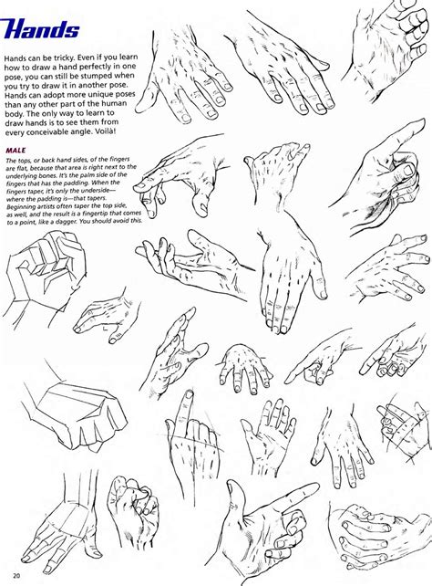 Hand Positions Drawing Reference 31 Images Result Koltelo