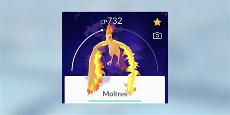 Pokemon Go Shadow Moltres Raid Guide Counters Weaknesses And More