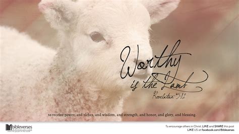 Lamb Of God Backgrounds 55 Pictures