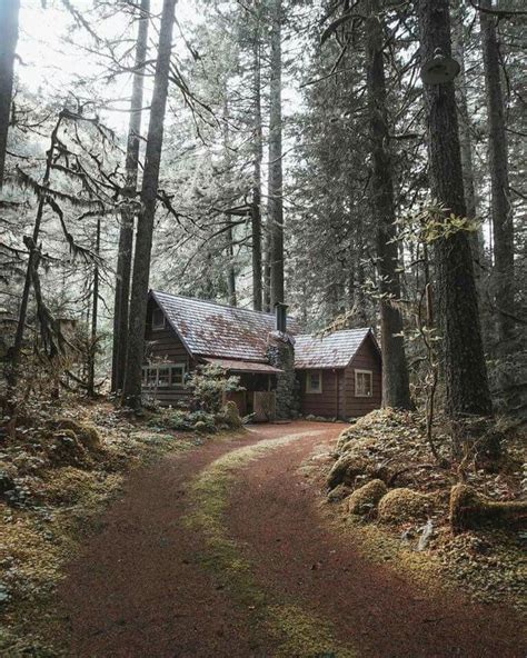 That Cabin Life Aesthetic Little Cabin In The Woods Cabins In The