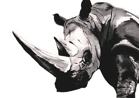 The Rhino Henry Fraser Art
