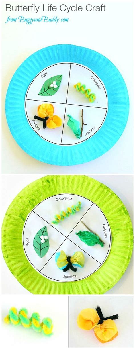 Paper Plate Butterfly Life Cycle Craft For Kids With Free Printable