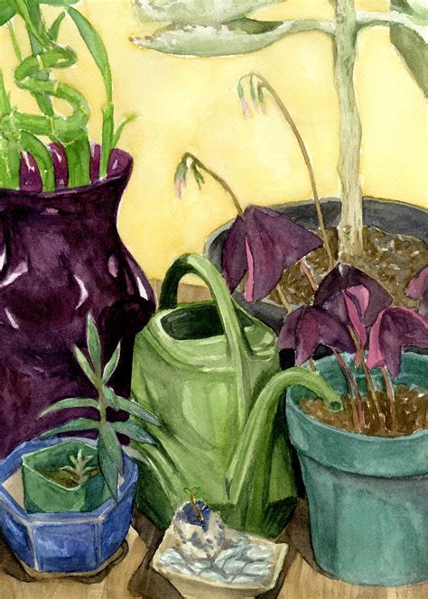 Plant Still Life By Cquirk Art On Deviantart