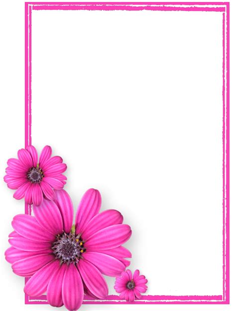 Pink Floral Frame Card Vector 1cc