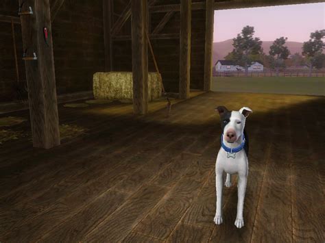 Downloads Sims 3 Dog Kennel