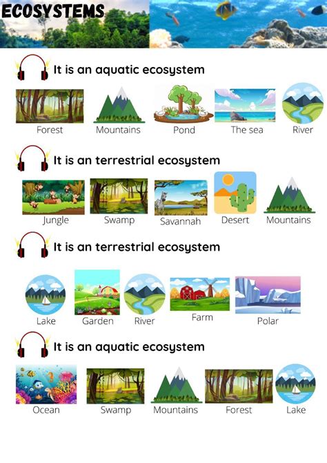 Ecosystems Online Exercise For Grade 3 4 5 6 Elementary Level Ecosystems English