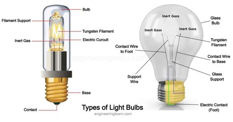 What Are Bulbs 6 Types Of Light Bulbs And Their Uses Explained With