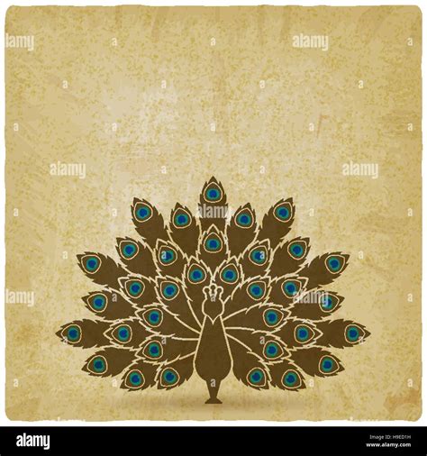 Stylized Silhouette Of Peacock With Open Tail Old Background Vector