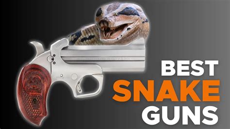 6 Best Snake Guns In 2023 Perfect For Slithers Youtube